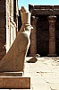Thumbnail of Aegypten 1979-149.jpg